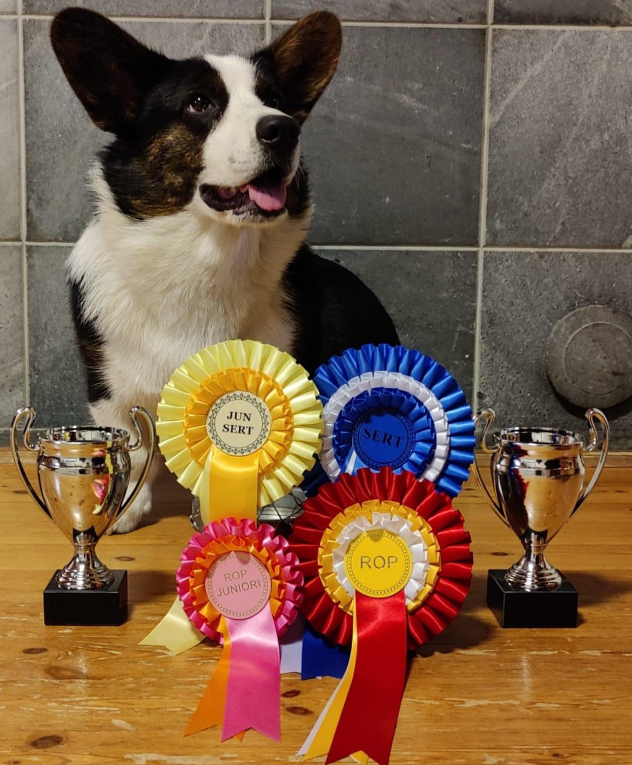 FI CH, FI Jun CH Fest Forbidden Fruit "Onni"