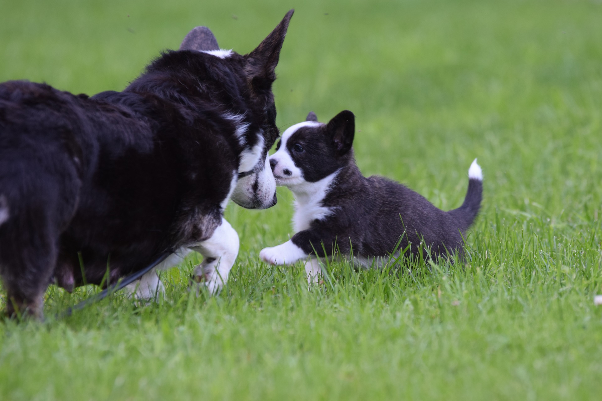 Alma y Martta, su hija.