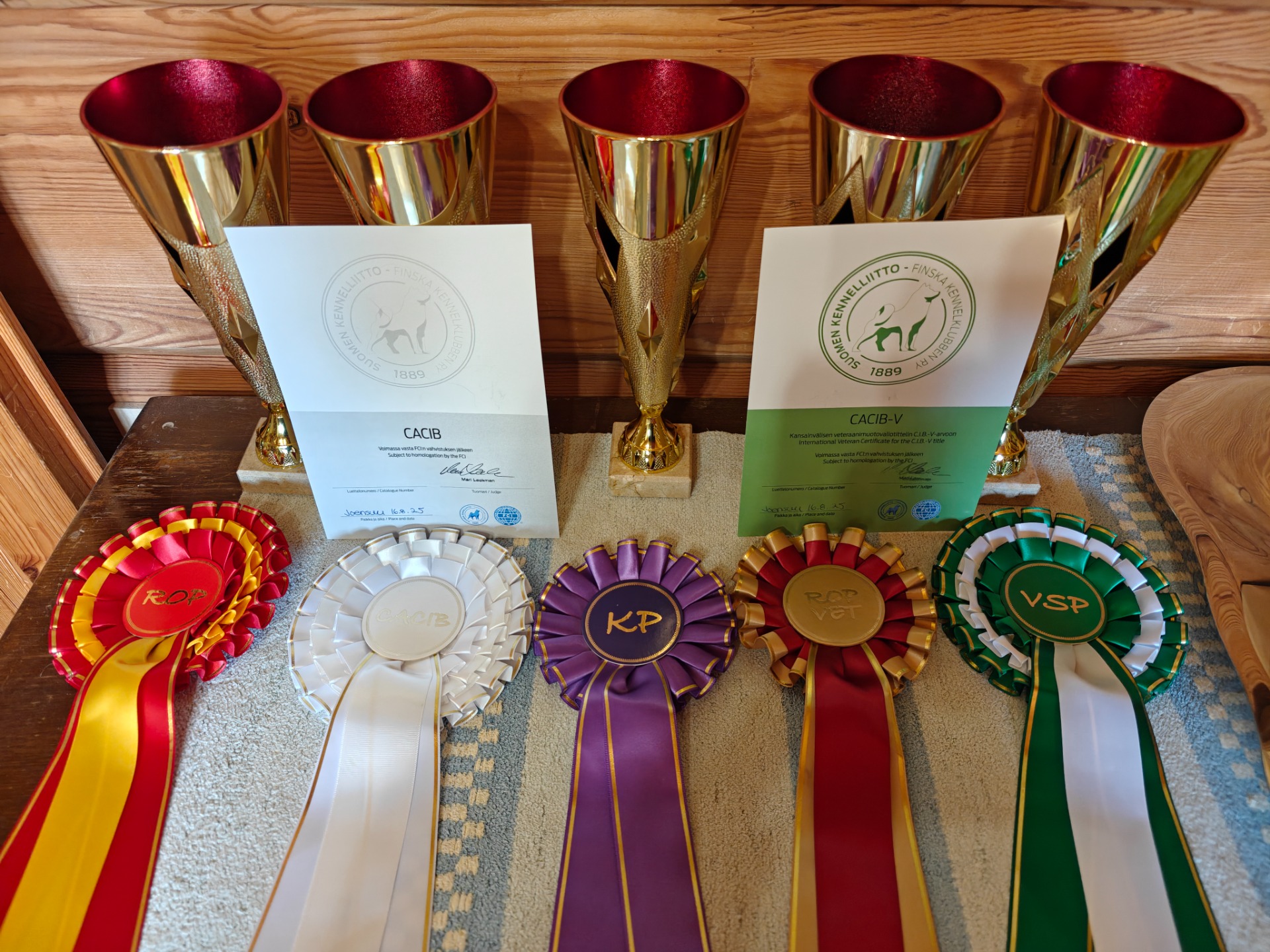 Elo-Karelian saavutuksia vuodelta 2025. Mukana kunniapalkinto Dhaarien'sille.